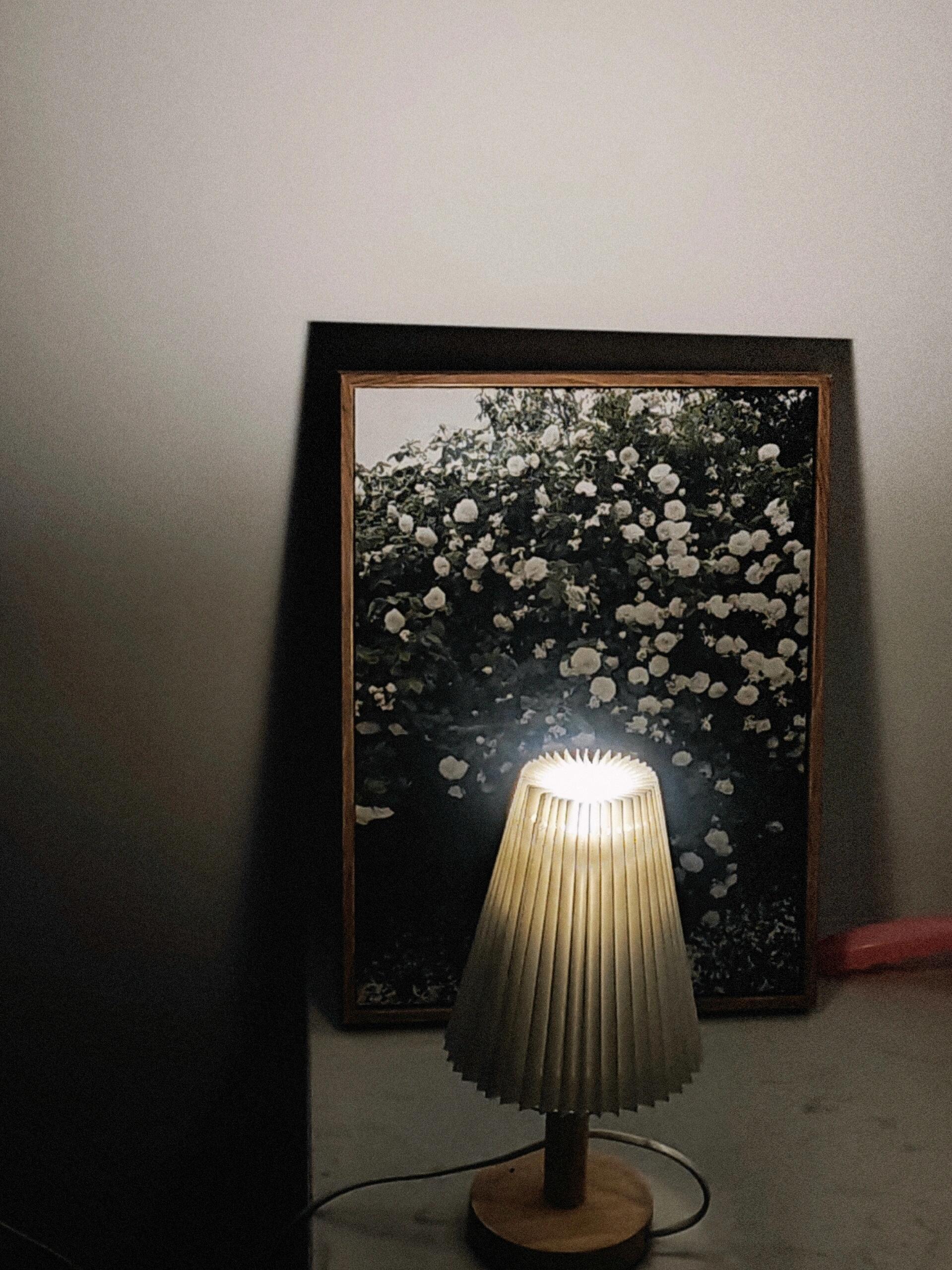 IMG_2870.jpeg